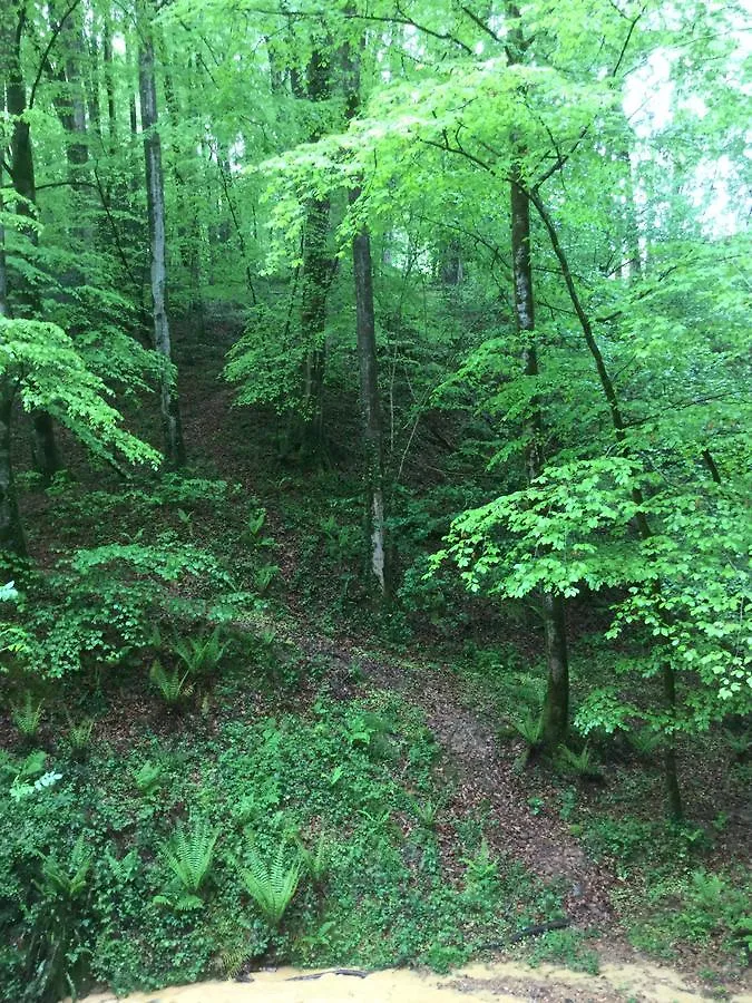 Hébergement de vacances Le Gîte du Poiré Molere